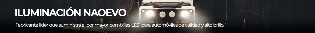 Promo Banner Principal